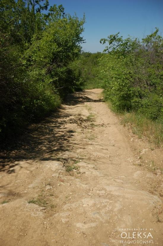 Красна Зоря з panoramio.com - Красна Зоря