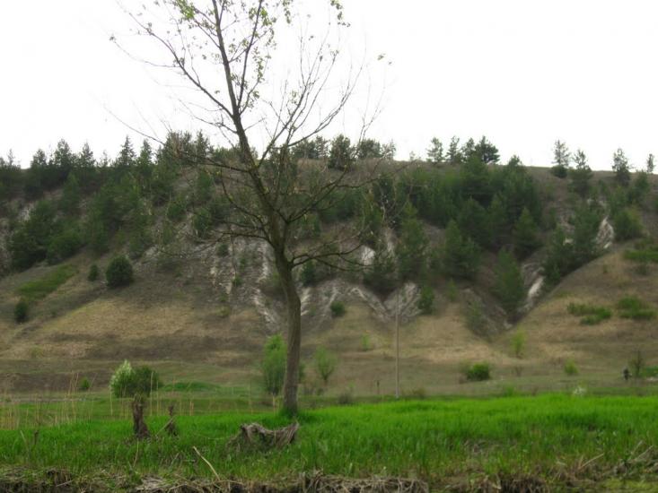 Крива Лука з panoramio.com - Крива Лука