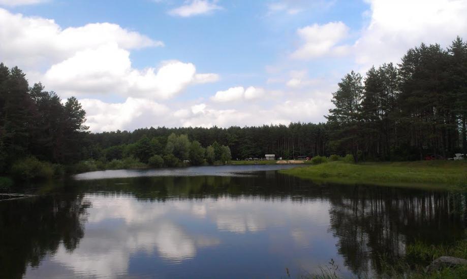 Козлин з panoramio.com - Козлин