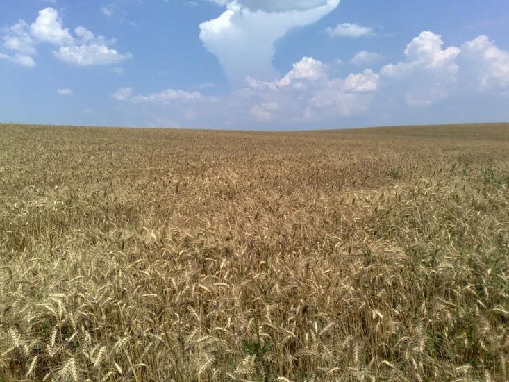 Пінчуки з panoramio.com - Пінчуки