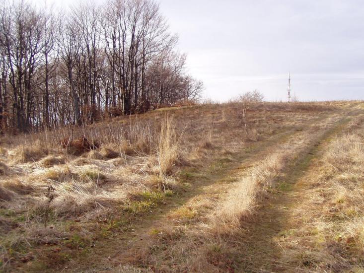 Руський Мочар з panoramio.com - Русский Мочар