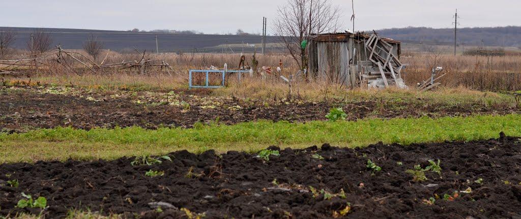 Падалки з panoramio.com - Падалки