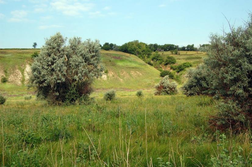 Пристине з panoramio.com - Пристине