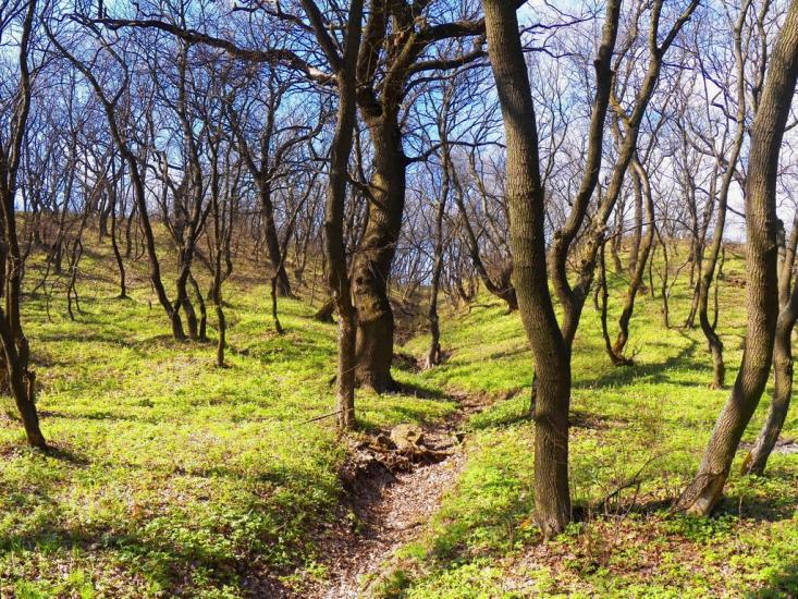 Юнокомунарівськ з panoramio.com - Юнокомунаровск