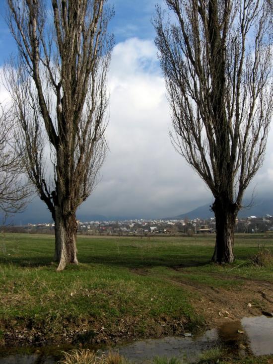 Піонерське з panoramio.com - Пионерское