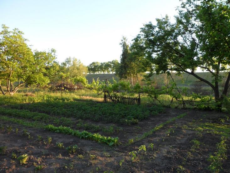 Недогарки з panoramio.com - Недогарки