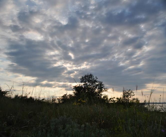 Калинівка з panoramio.com - Калинівка