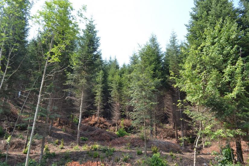 Мигове з panoramio.com - Мигово