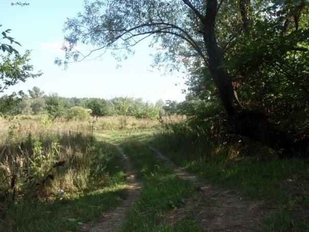 Лукищина з panoramio.com - Lukyschyna
