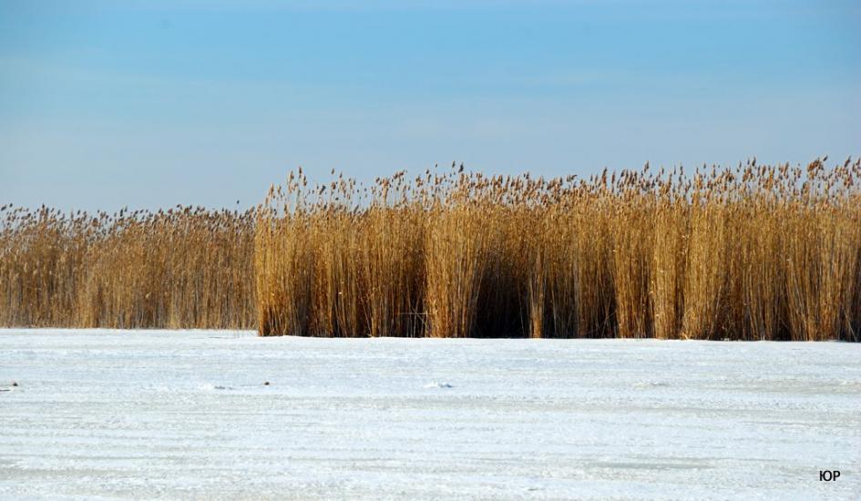 Велике Болото з panoramio.com - Velyke Boloto