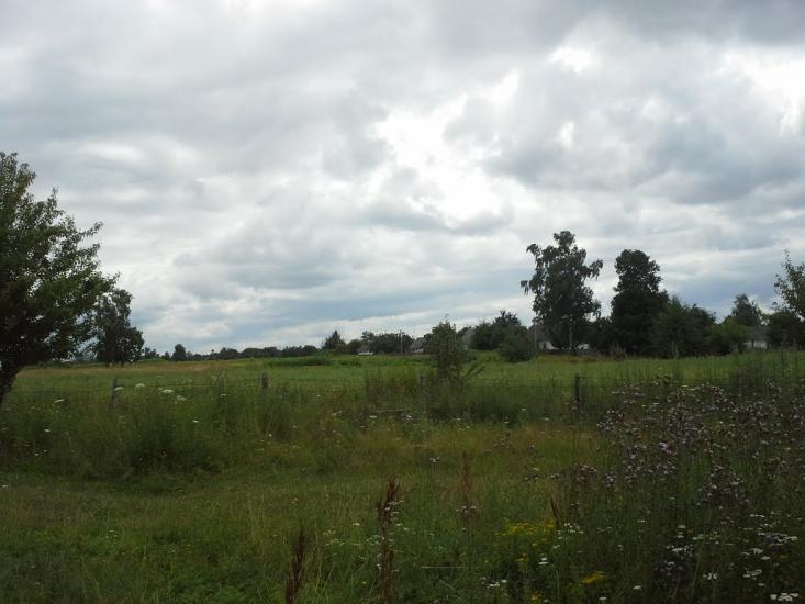 Сошники з panoramio.com - Сошники