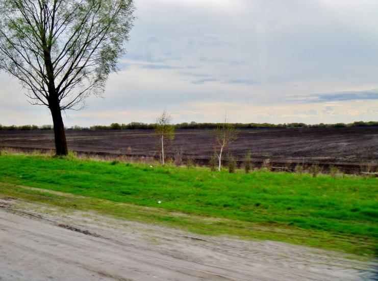 Пінчуки з panoramio.com - Пінчуки