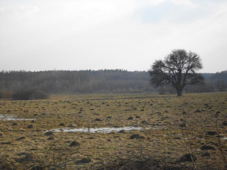 Озеро з panoramio.com - Озеро