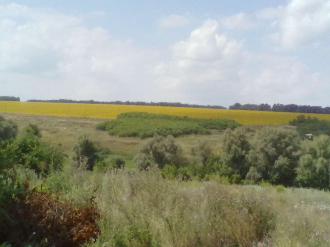 природа села - Благовещенка