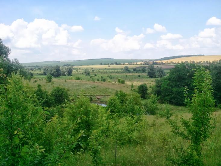 Новоукраїнка з panoramio.com - Новоукраїнка