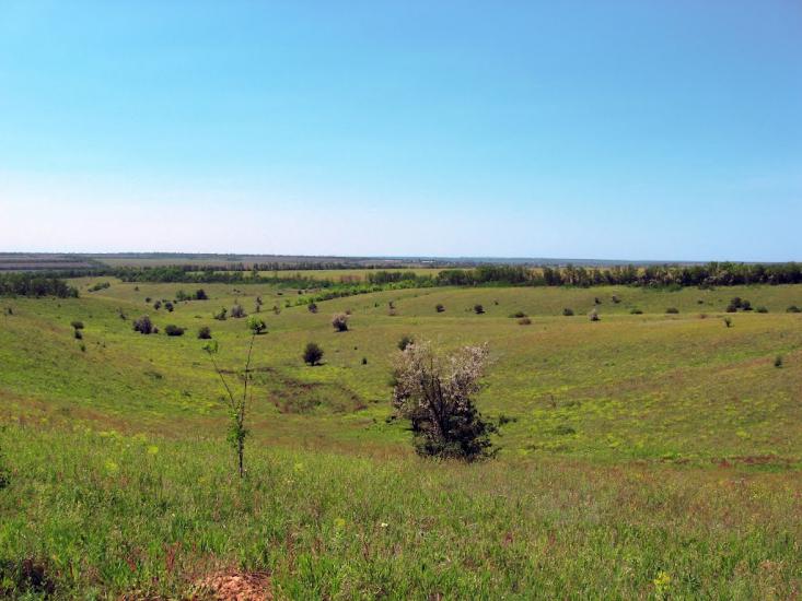 Придніпрянське з panoramio.com - Приднепрянское
