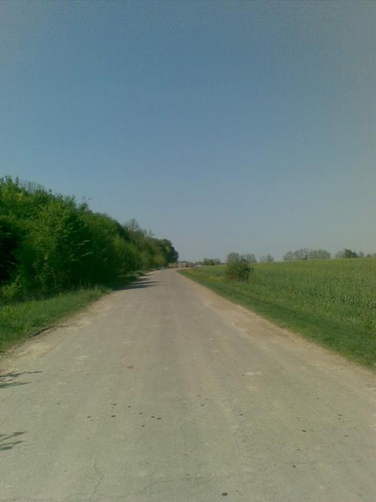 Ковалівка з panoramio.com - Ковалівка