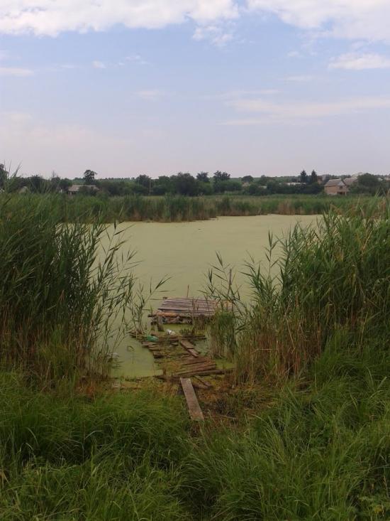 Созонівка з panoramio.com - Созоновка
