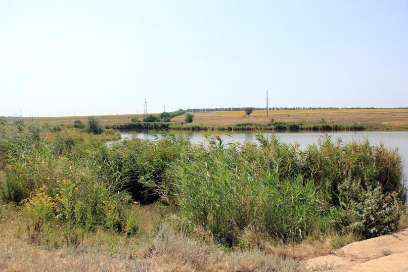 Наталівка з panoramio.com - Наталовка