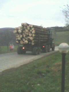 Лецовиця - Лецовиця