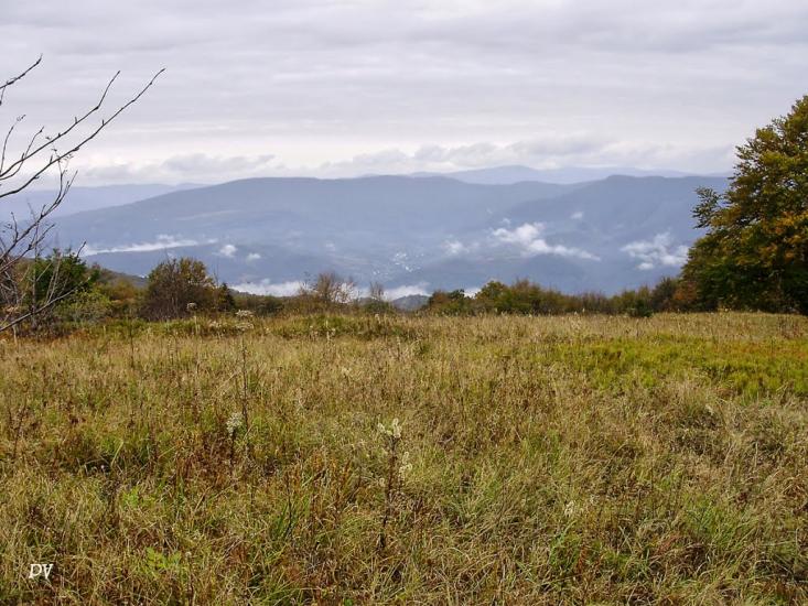 Руський Мочар з panoramio.com - Русский Мочар