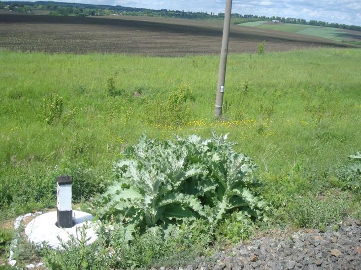 Ясенівка з panoramio.com - Ясенівка