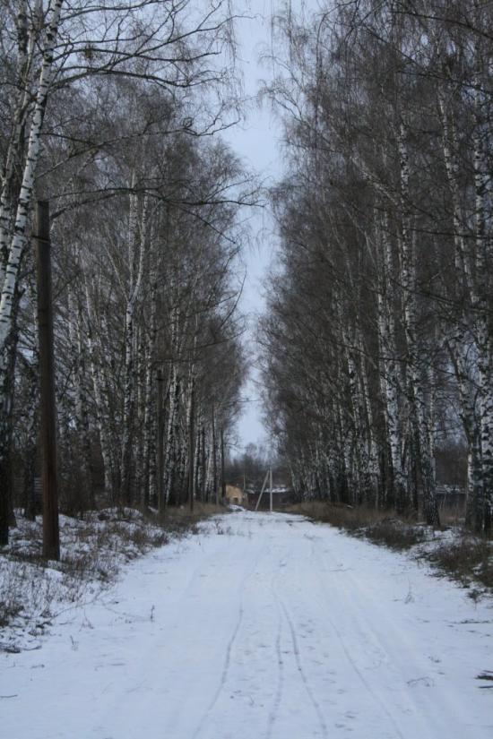 Буча з panoramio.com - Буча