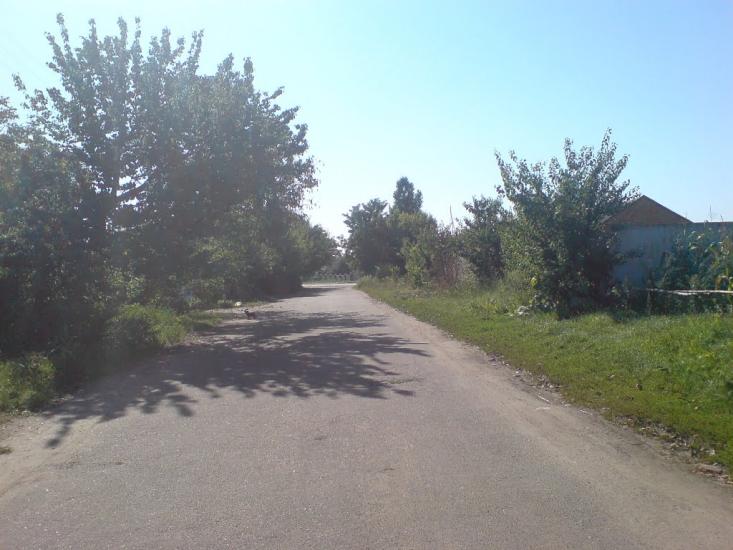 Новоархангельськ з panoramio.com - Новоархангельск