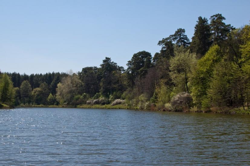 Козлин з panoramio.com - Козлин