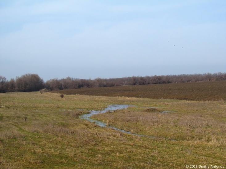 Раєво-Олександрівка з panoramio.com - Раево-Александровка