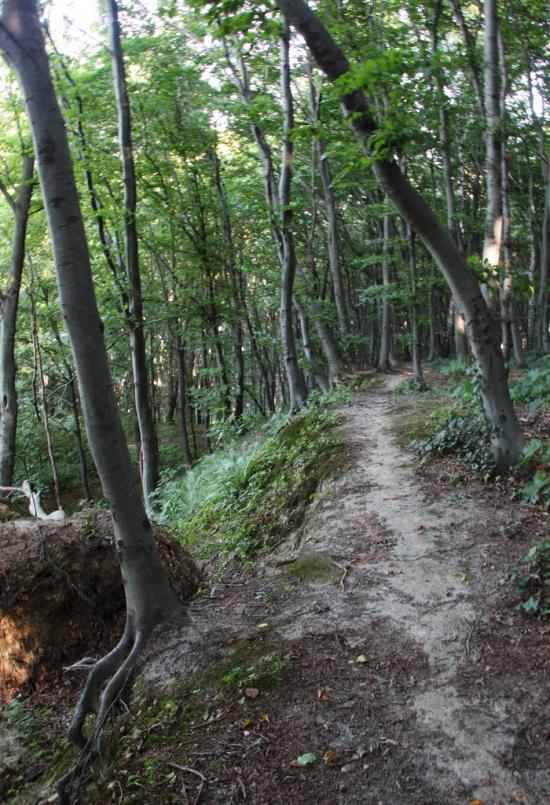 Винники з panoramio.com - Vynnyky