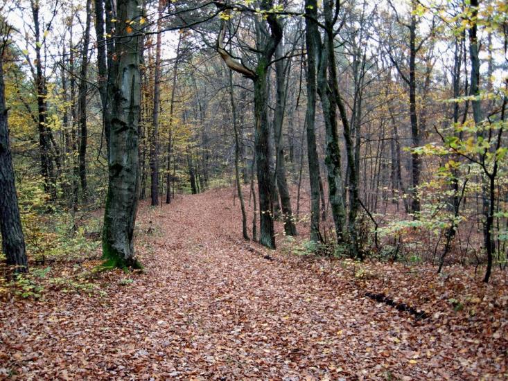 Страдч з panoramio.com - Страдч