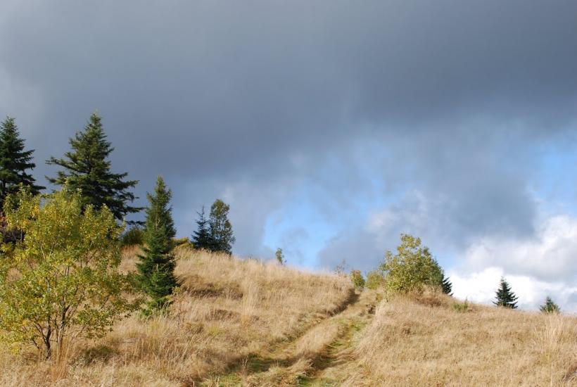 Руський Мочар з panoramio.com - Русский Мочар