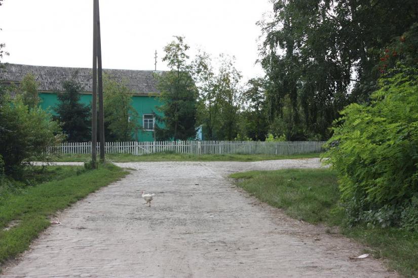 Дацьки з panoramio.com - Дацьки