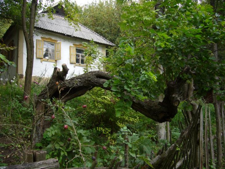 Перевіз з panoramio.com - Перевоз