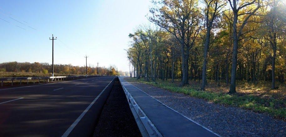 Високий з panoramio.com - Высокий