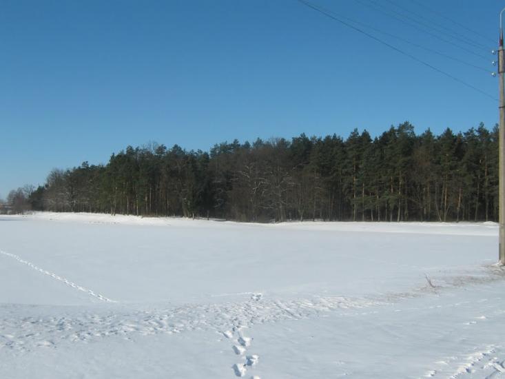 Романів з panoramio.com - Романов