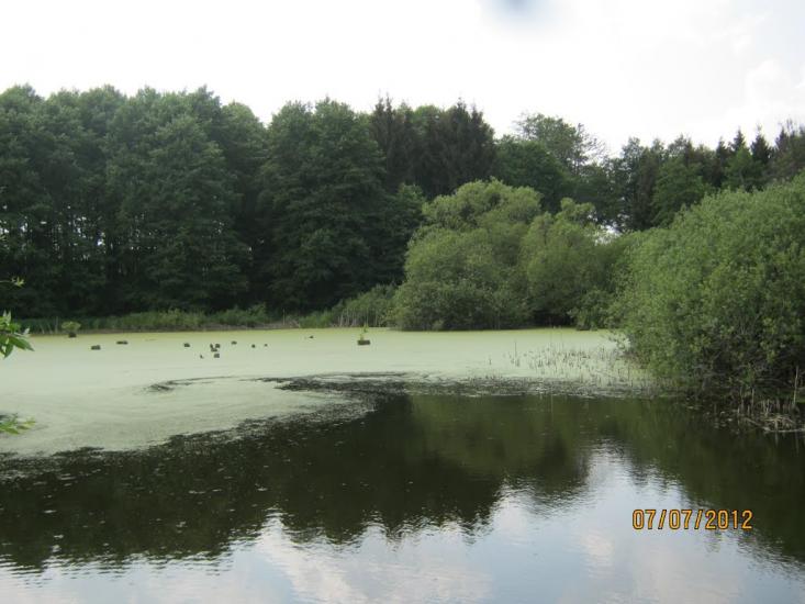 Комунарівка з panoramio.com - Коммунаровка