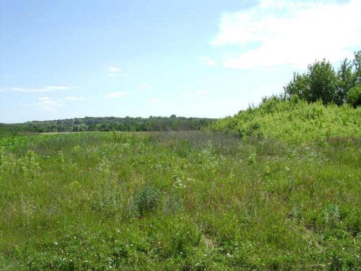 Брагинці з panoramio.com - Брагинці