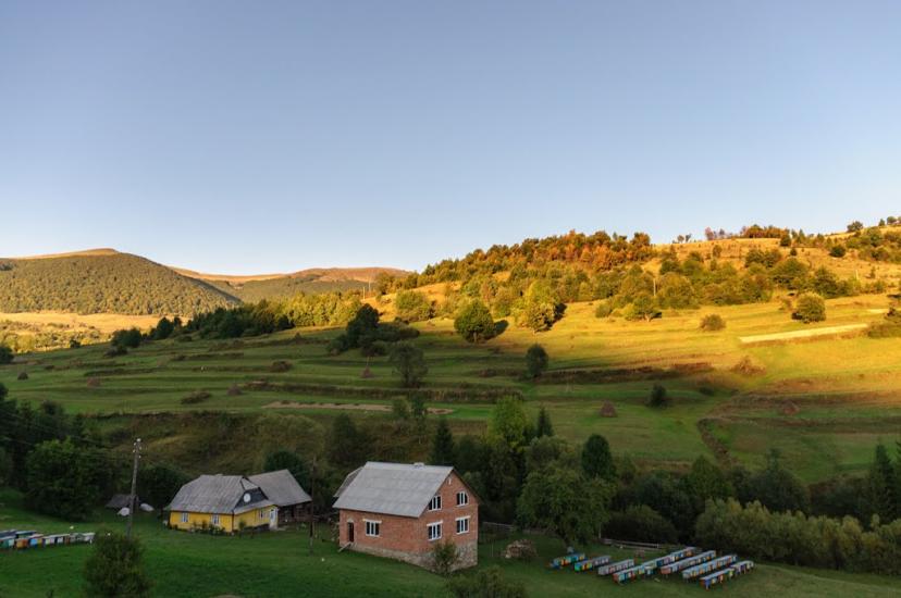 Розтока з panoramio.com - Ростока