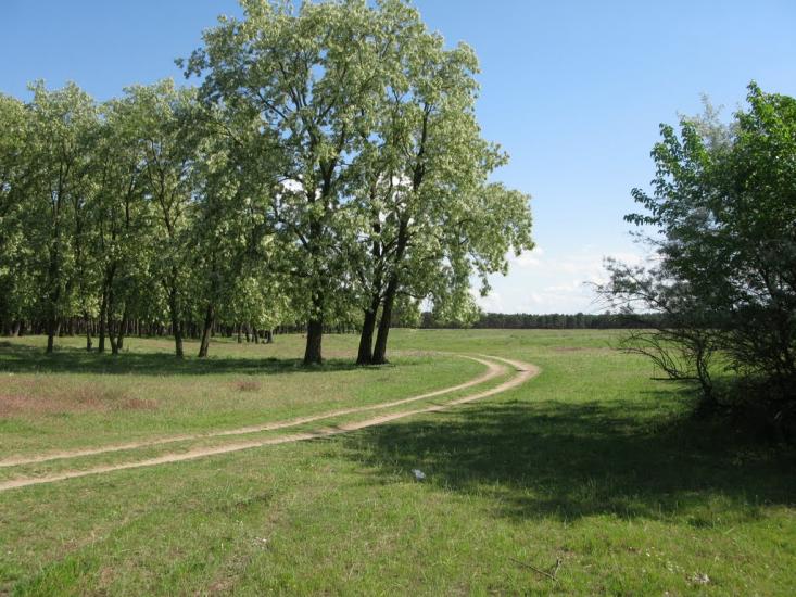 Малокаховка з panoramio.com - Малокаховка