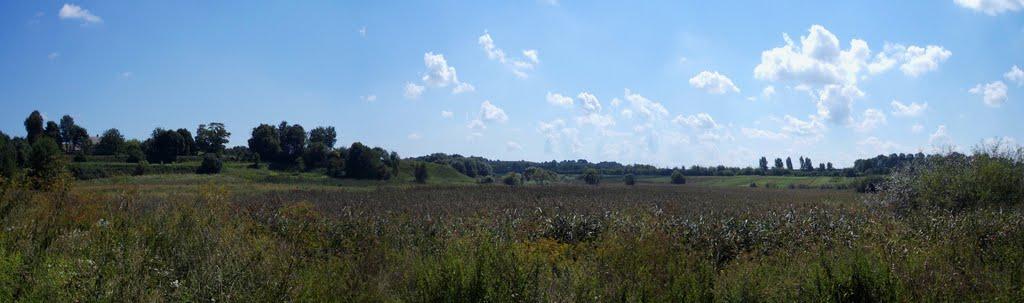 Нагірне з panoramio.com - Нагірне