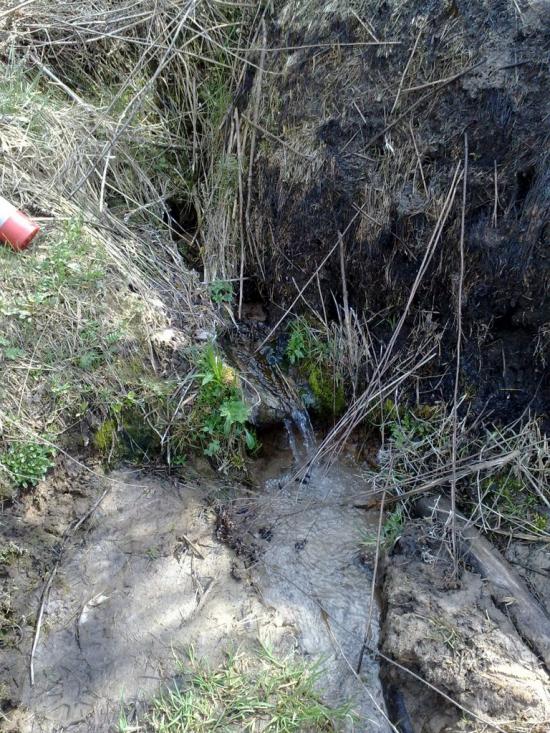 Коробочкине з panoramio.com - Коробочкине