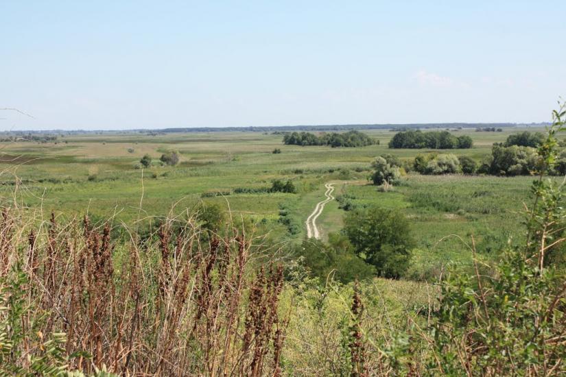 Велика Бурімка з panoramio.com - Великая Буромка