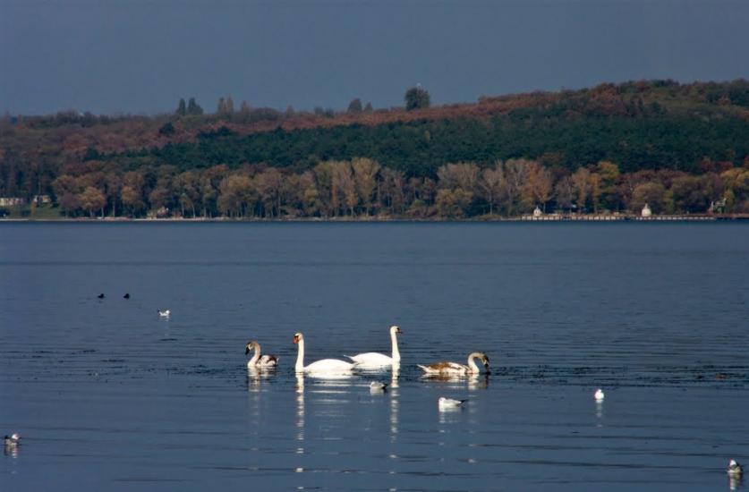 Волоське з panoramio.com - Волосское