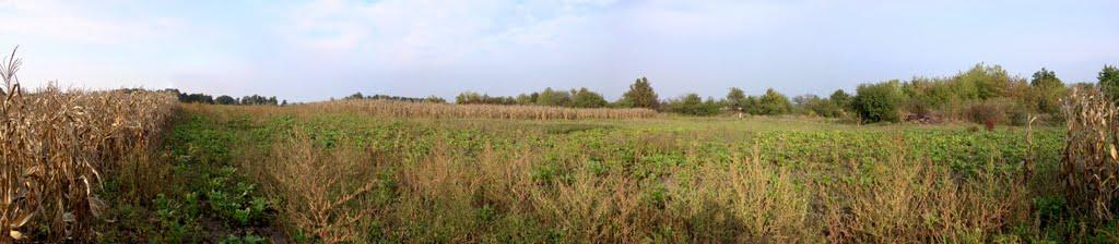 Осіївка з panoramio.com - Osiyivka