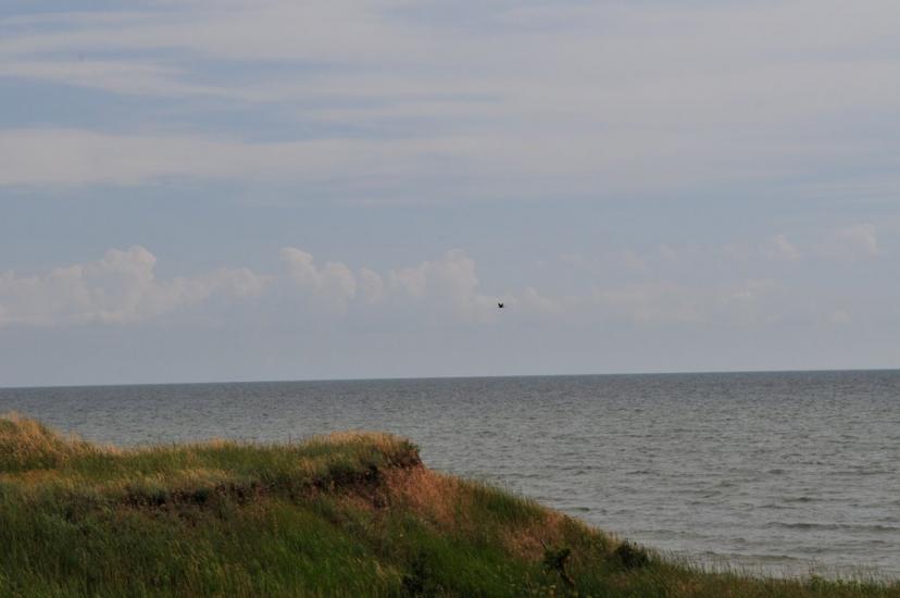 Хорли з panoramio.com - Хорлы
