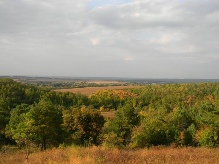 Івангород з panoramio.com - Ивангород