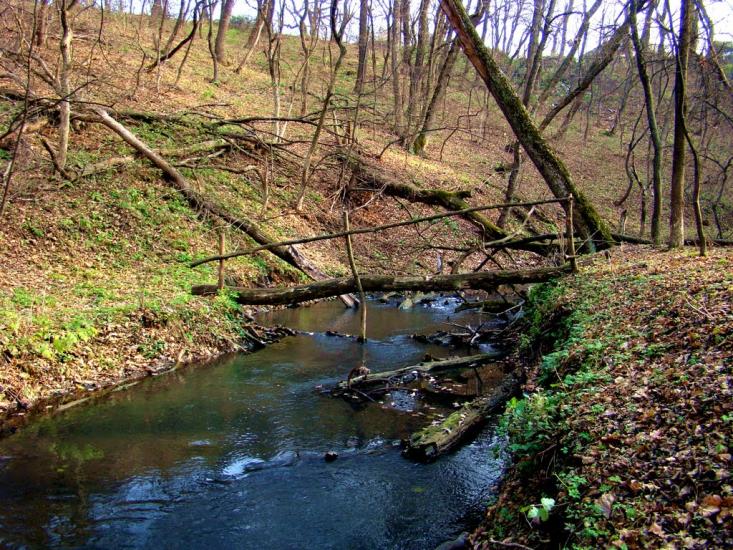 Ясенівський з panoramio.com - Ясеновский