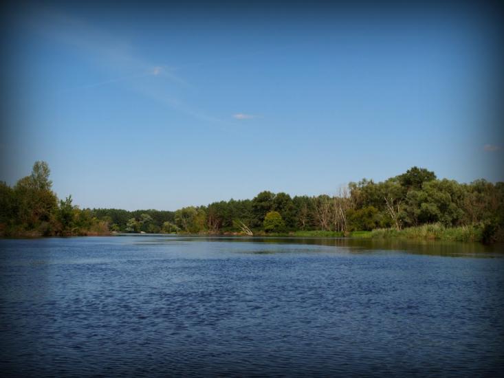 Хрещатик з panoramio.com - Крещатик